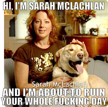 funny-Sarah-McLachlan-TV-commercial.jpg